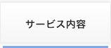 lޔhT[rXe