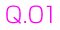 Q.01